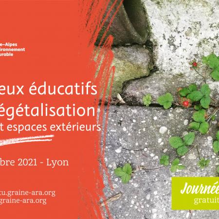 Les enjeux éducatifs de la végétalisation des cours et espaces extérieurs