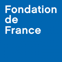 image Fondation_de_France.png (33.9kB)